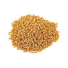 moutarde graine entière jaune 1kg