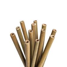 paille en bambou 20cm