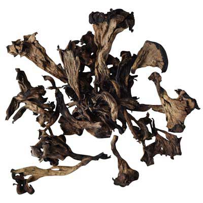 [MO-BRCORABOSEC1KG] cornes d'abondance séchées 1kg