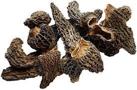 [MO-LMMORGROSSES1KG] morilles sauvages extra séchées sans queue 1kg