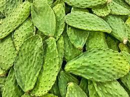 [DP-EMNOPLAMSAU320] nopales lamelles en saumure 320g SM