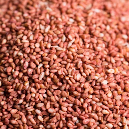 [MO-NISESTORBON1KG] sésame torréfié à la bonite 1kg